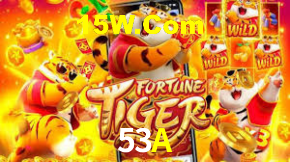 53A